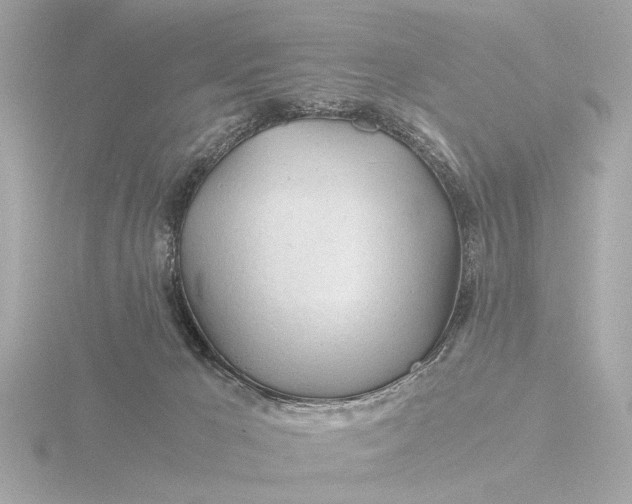 X0000116390029200912231118