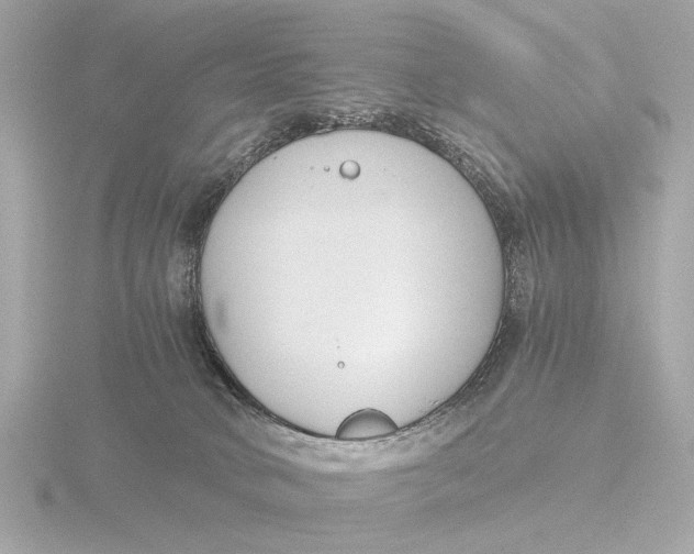 X0000116390034200912231118