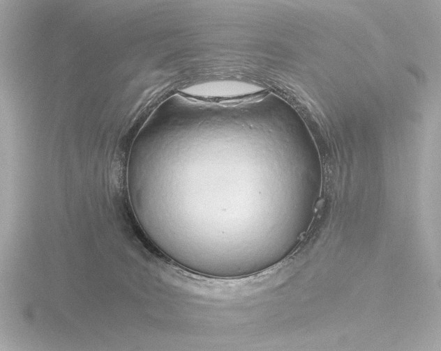 X0000116390035200912231118