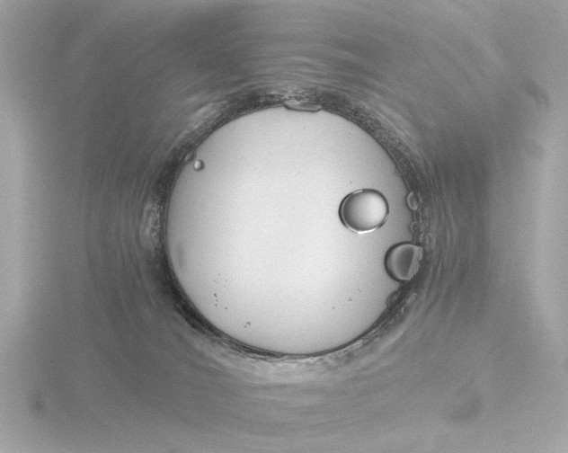 X0000116390036200912231118