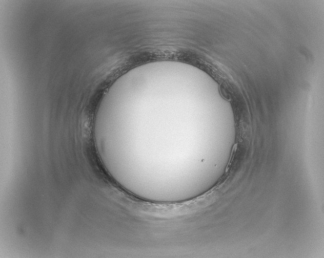 X0000116390037200912231118