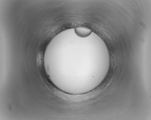 X0000116390038200912231118