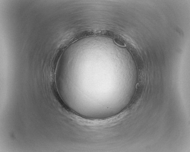 X0000116390039200912231118