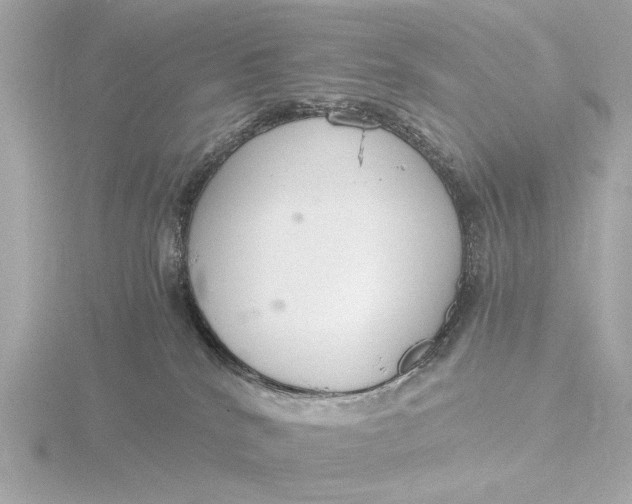 X0000116390040200912231118