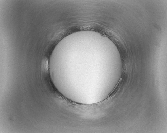 X0000116390041200912231118