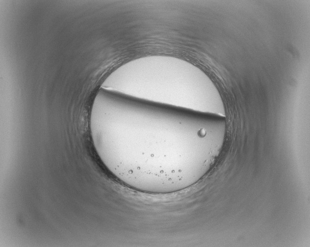 X0000116390043200912231118