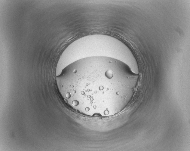 X0000116390048200912231118