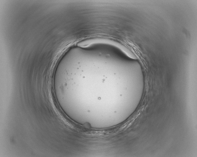 X0000116390049200912231117