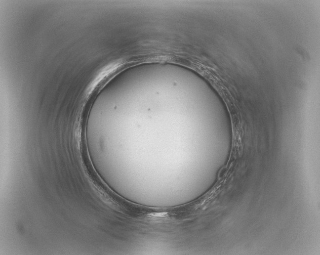 X0000116390054200912231117