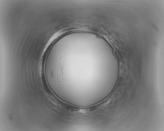 X0000116390056200912231117