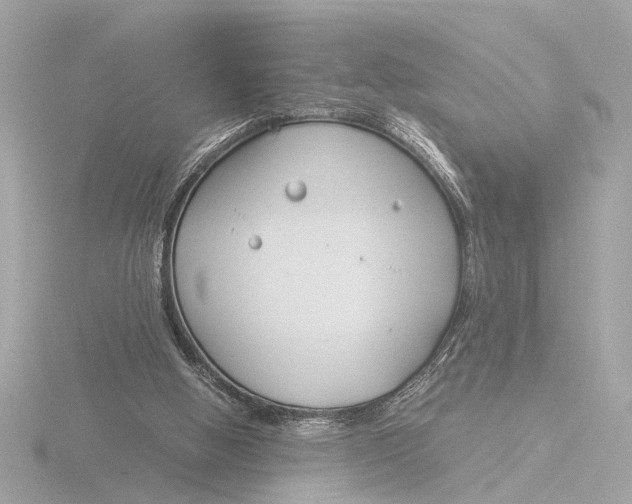 X0000116390058200912231117