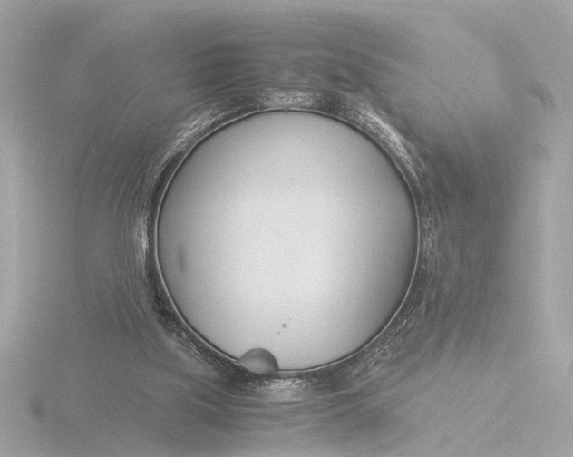 X0000116390059200912231117