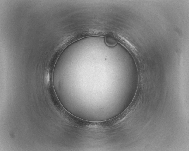 X0000116390067200912231117