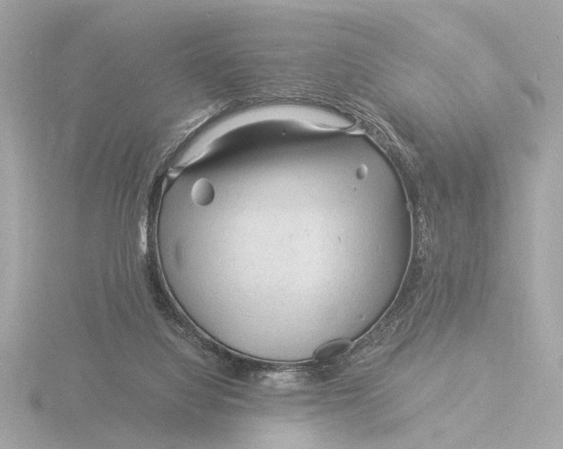 X0000116390068200912231117