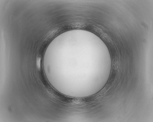 X0000116390070200912231117