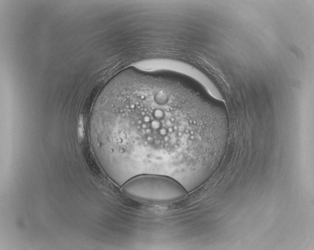 X0000116390075200912231117