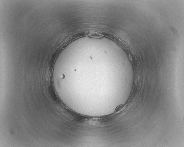 X0000116390078200912231117