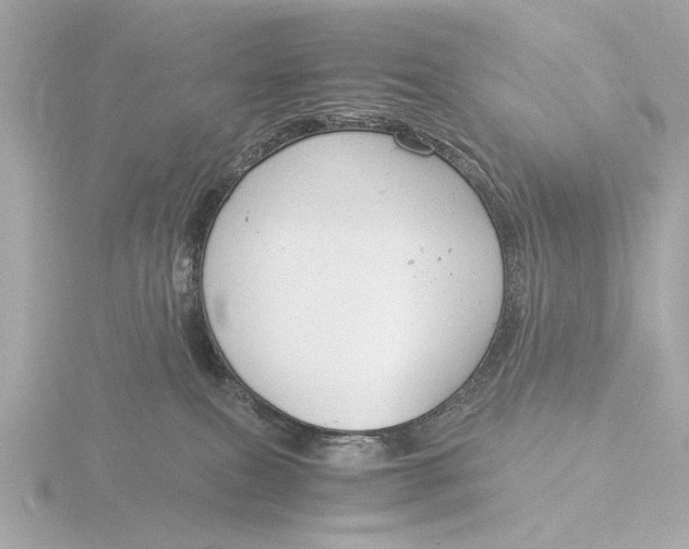 X0000116390087200912231117