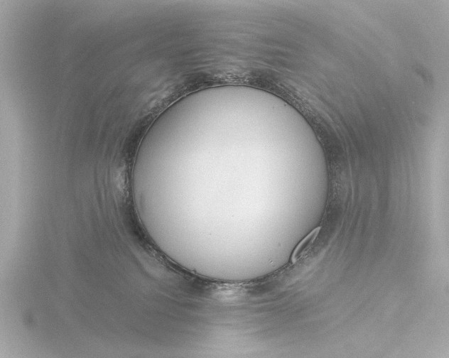 X0000116390088200912231117