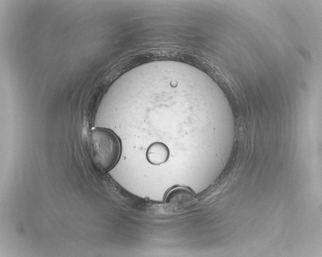 X0000116390089200912231117