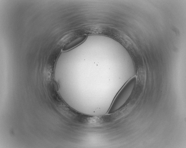 X0000116390092200912231118