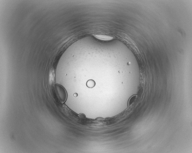 X0000116390095200912231118