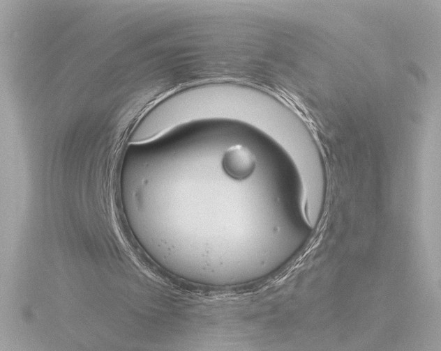 X0000116390097200912231117