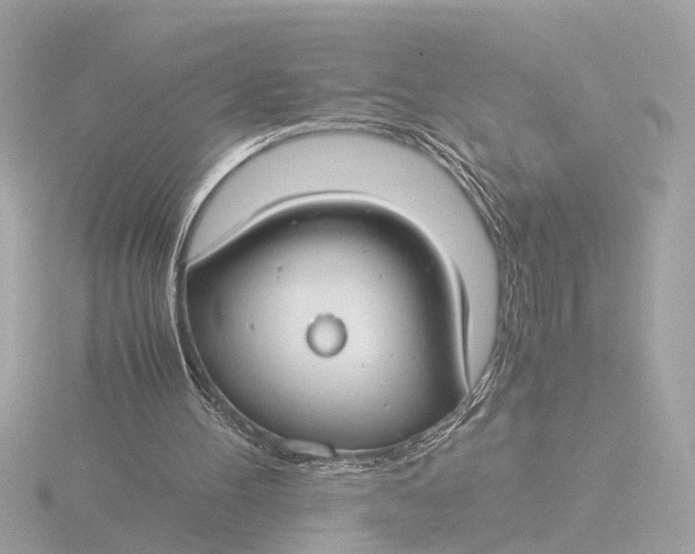 X0000116390100200912231117