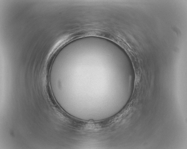 X0000116390101200912231117