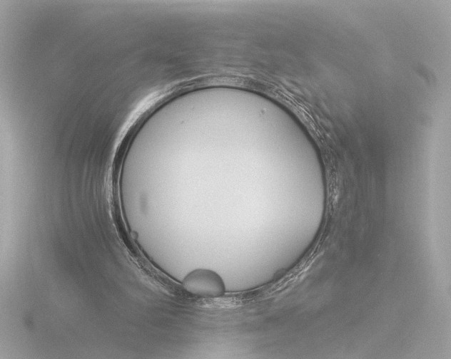 X0000116390102200912231117