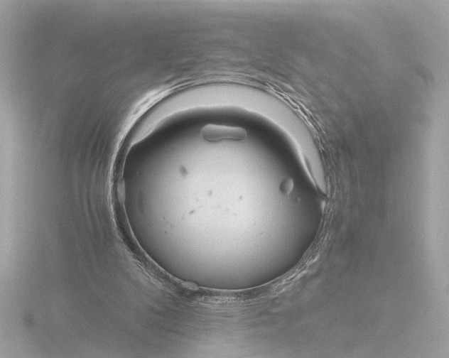 X0000116390104200912231117