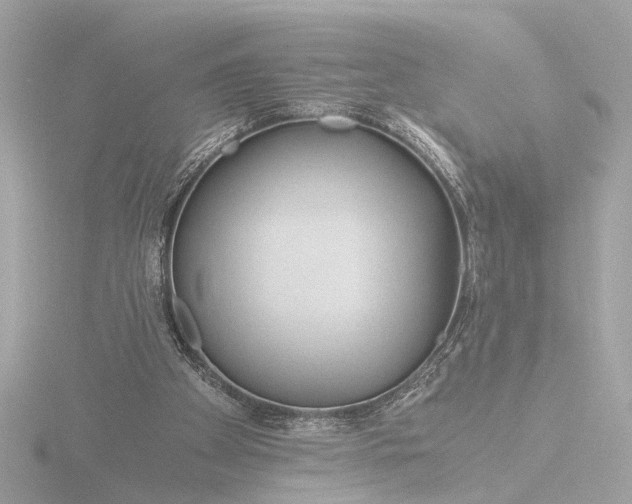 X0000116390105200912231117