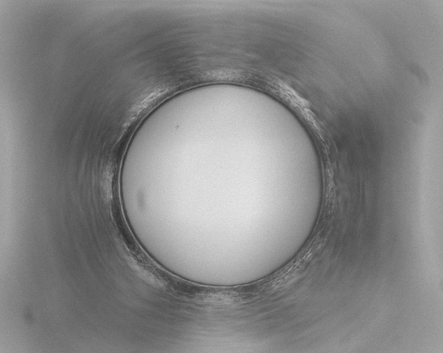 X0000116390106200912231117