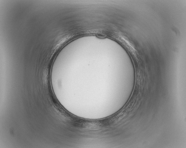 X0000116390107200912231117