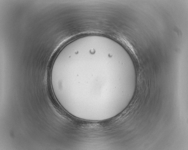 X0000116390108200912231117