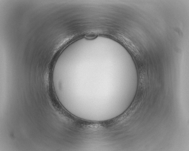 X0000116390112200912231117