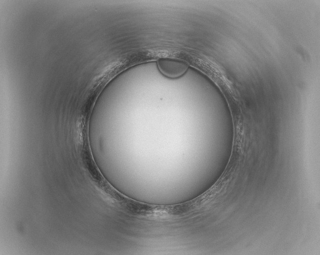 X0000116390114200912231117