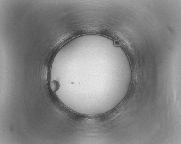 X0000116390115200912231117