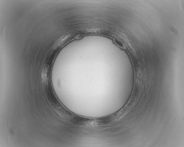 X0000116390116200912231117