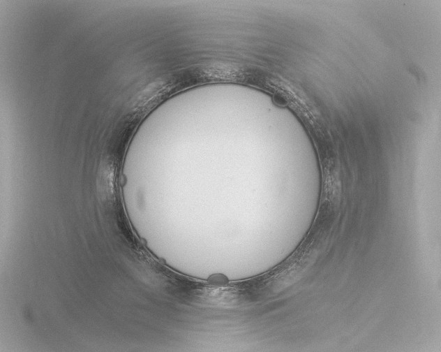 X0000116390117200912231117