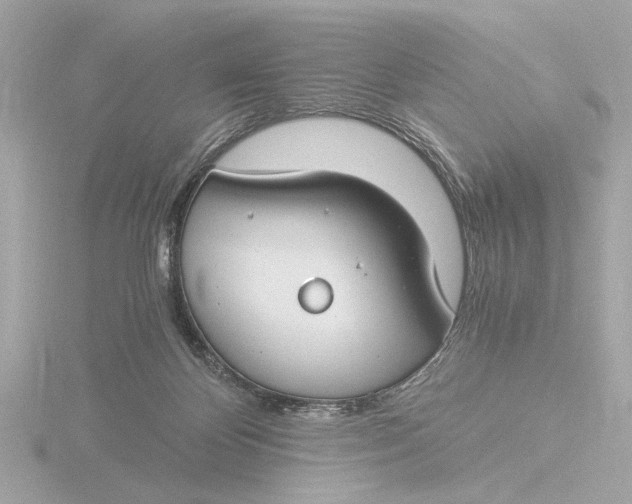 X0000116390124200912231117