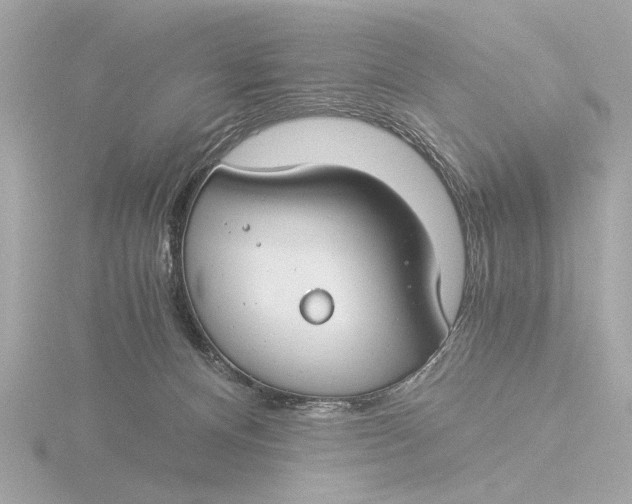 X0000116390128200912231117