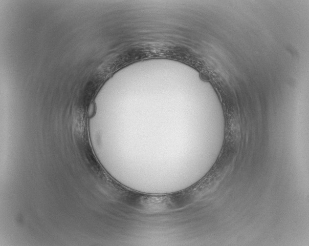 X0000116390129200912231117