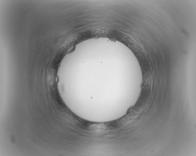 X0000116390133200912231117