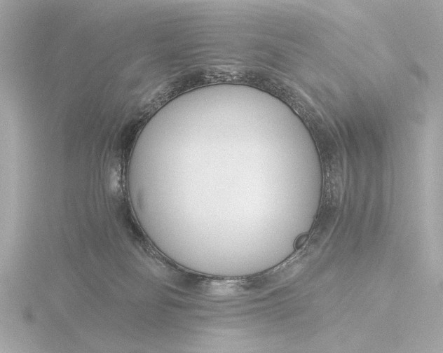 X0000116390134200912231117