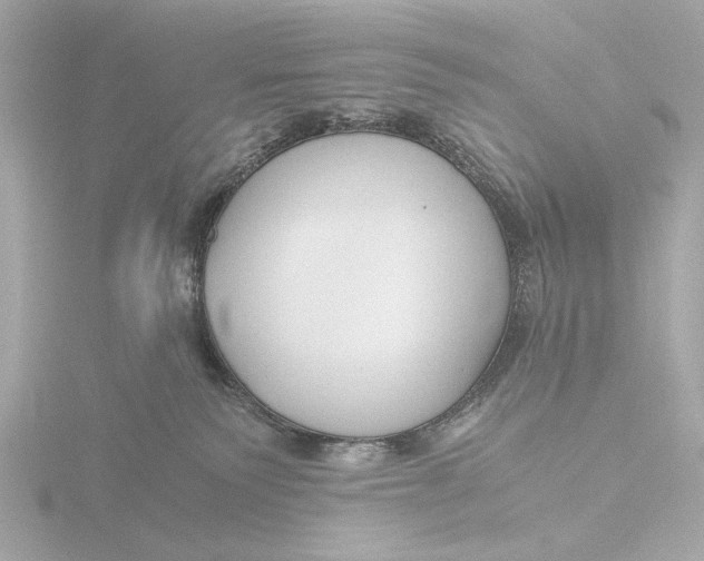 X0000116390135200912231116