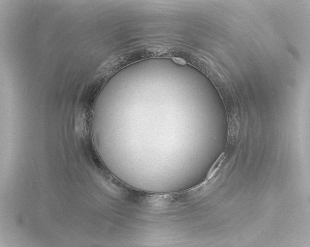 X0000116390136200912231116