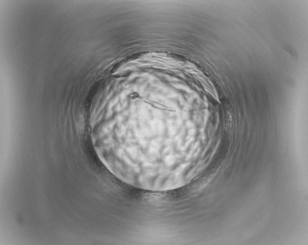 X0000116390139200912231116