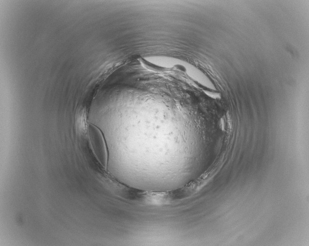 X0000116390143200912231116