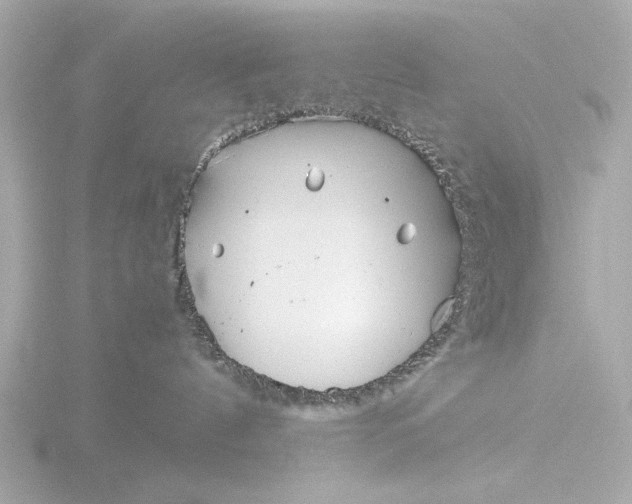 X0000116390144200912231116